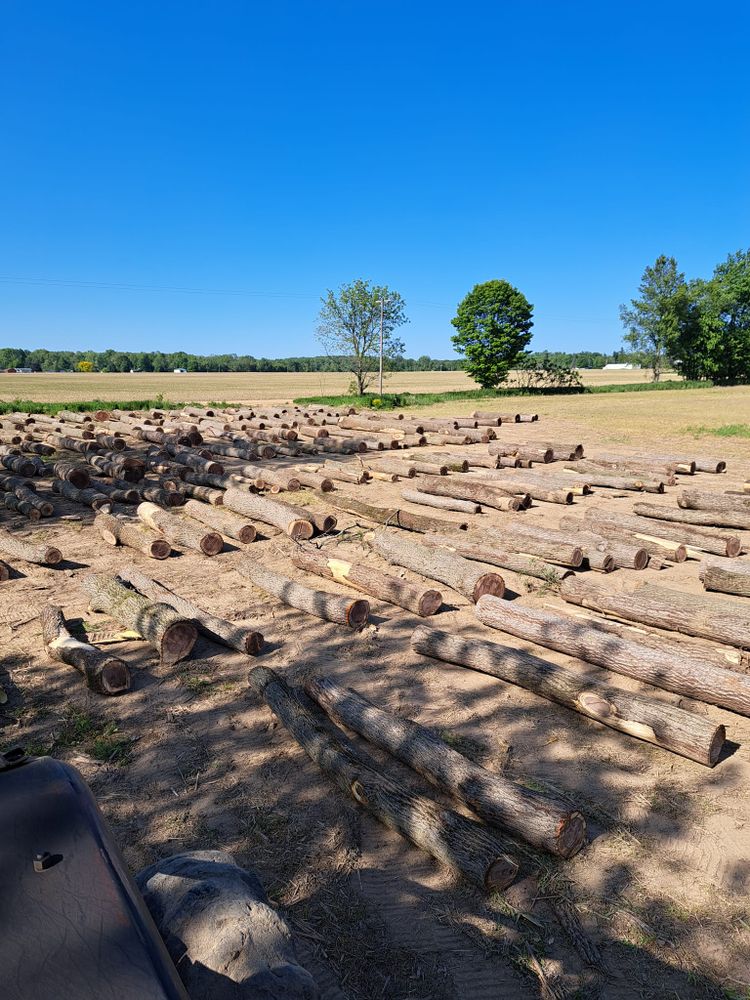 All Photos for God's Country Timber Management in Hillsdale, MI