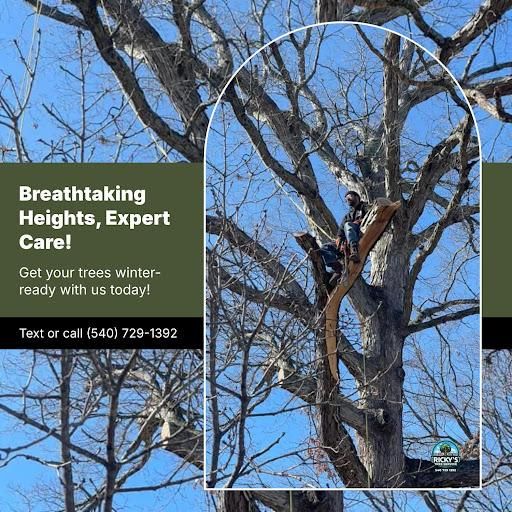 All Photos for Ricky's Tree Service & Property Care in Orange, VA