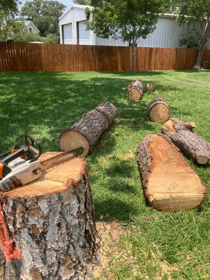 Our professional Tree Removal service safely and efficiently eliminates unwanted trees from your property, enhancing safety, aesthetics, and overall landscape health. Contact us today for a free consultation. for Camerons Stump Grinding & Tree Services in Austin, TX