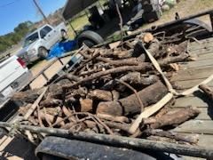 All Photos for Oviedo Land & Garden in Bastrop, TX
