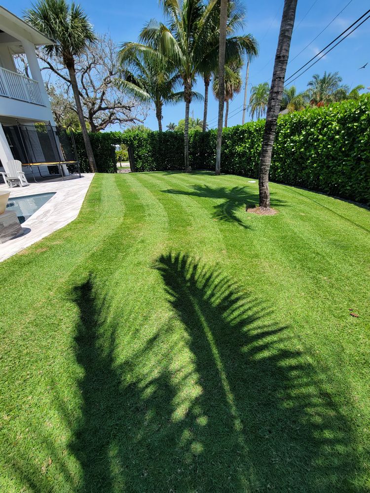 All Photos for L & J Palm Tree & Lawn Care Services in Jupiter, FL