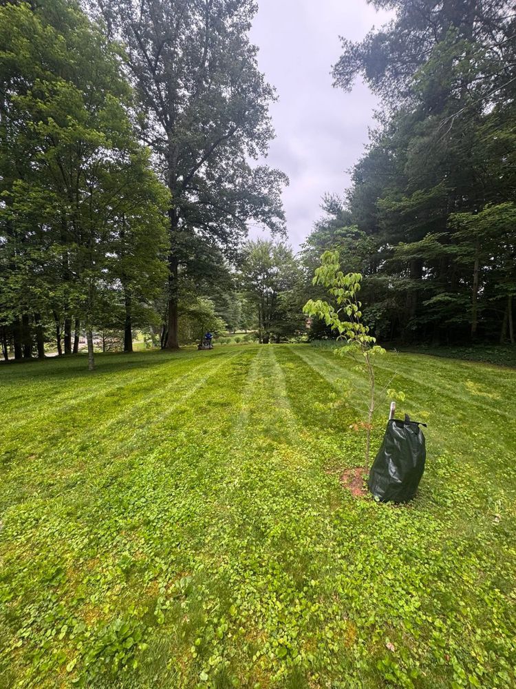 All Photos for Zotelo’s Lawncare LLC in Winston-Salem, NC