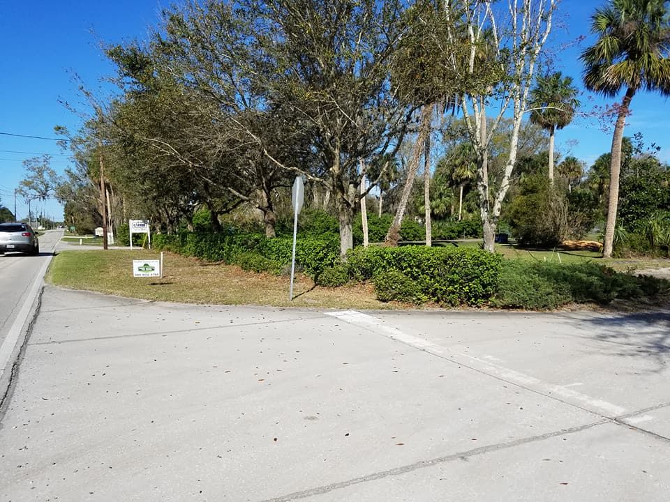 Tree Removal for Daniel Hickey’s Tree Service in DeLand, FL