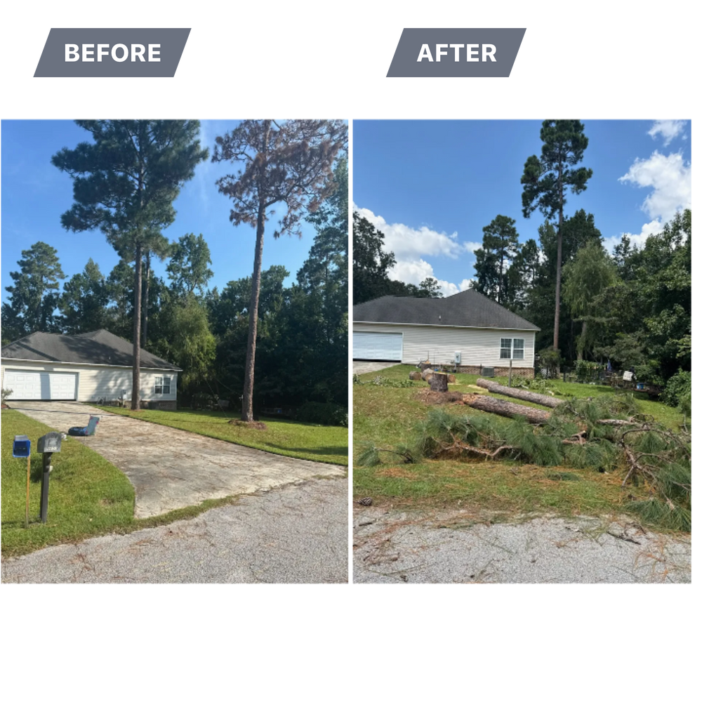 All Photos for Hawkins Tree Service & Land Management in Richmond Hill, GA