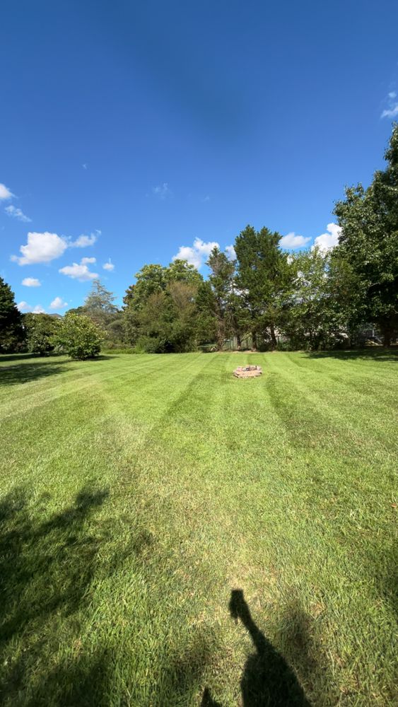 All Photos for WD Lawn Services in Loganville, GA
