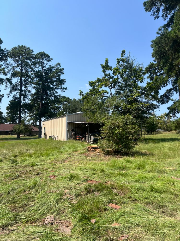 Tree Removal for Best Price Tree Service in Hallsville, TX