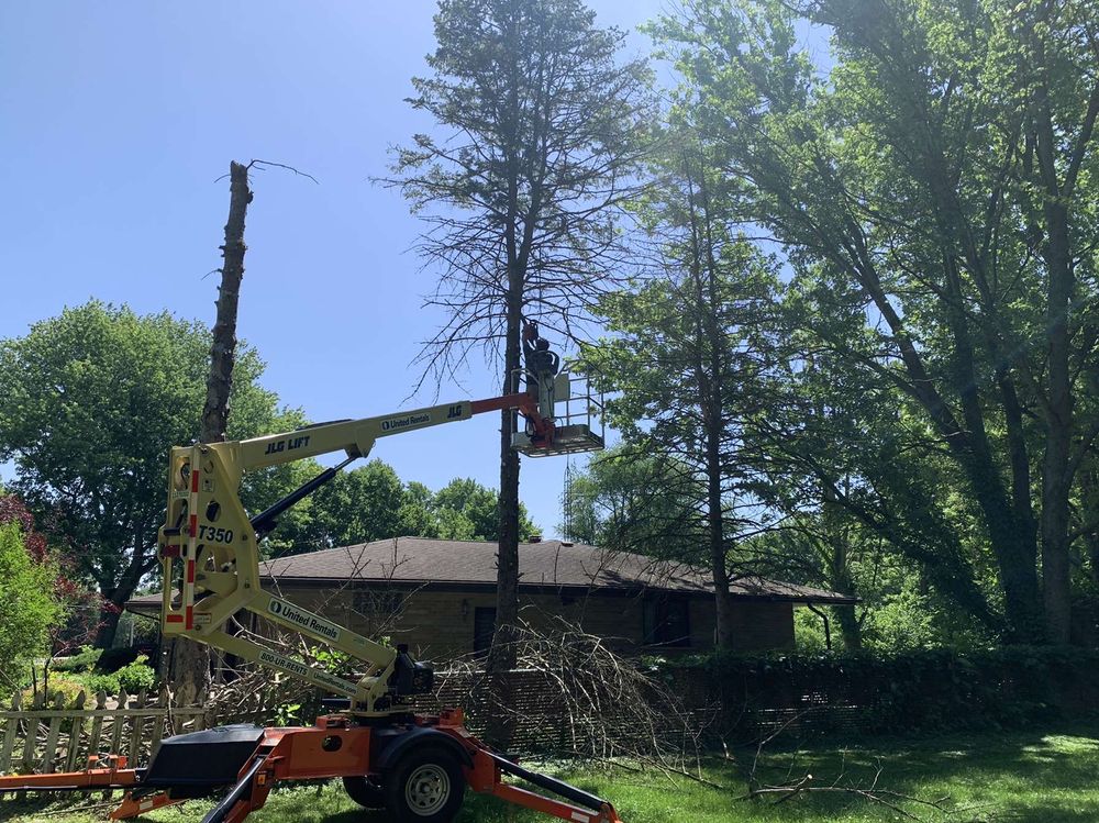 Treework for Nate's Lawn Services in Braidwood, IL