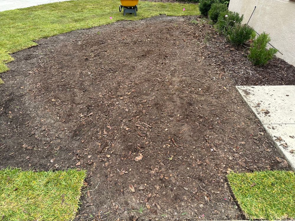 All Photos for Gulf Bay Sod in Clearwater, FL
