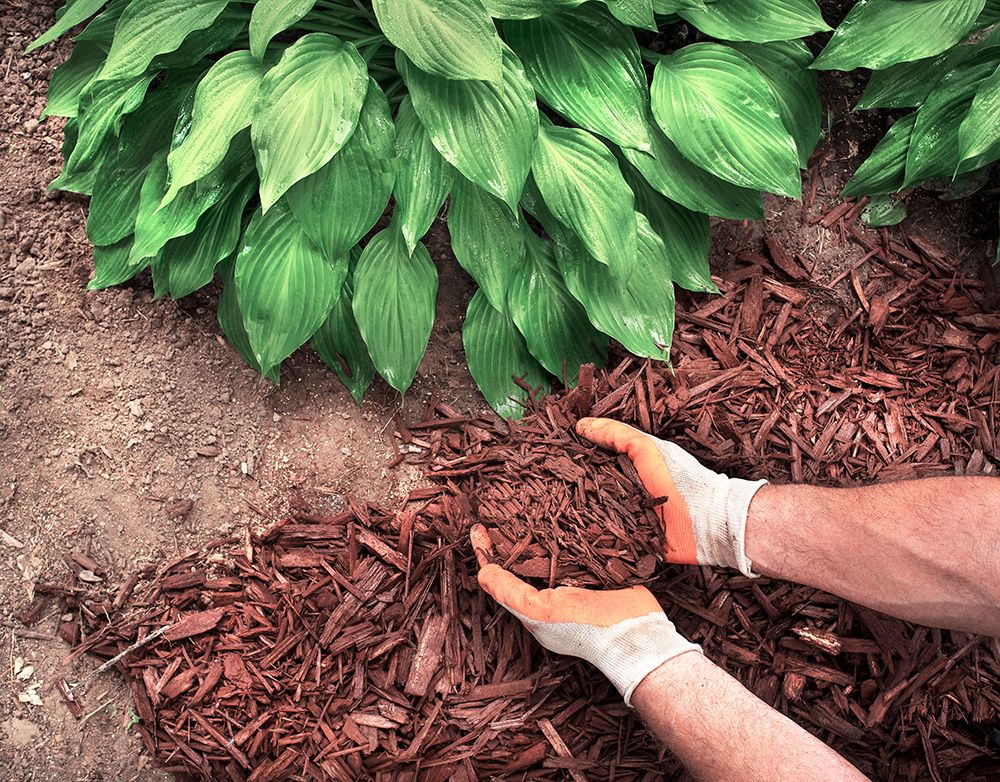 Enhance your garden's aesthetic appeal with our Mulch Installation service. Our team will expertly spread mulch to suppress weeds, retain moisture, and improve soil health for a vibrant landscape. for Trim Seasonal Services in Milwaukee, WI