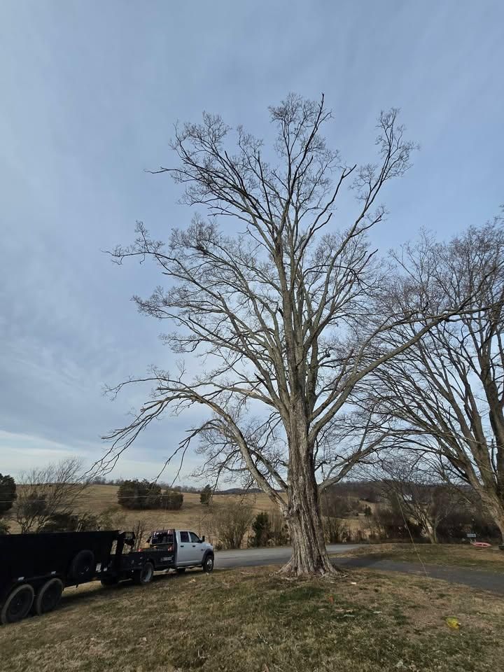 All Photos for M&L Lumber and Excavating in Jonesborough, TN