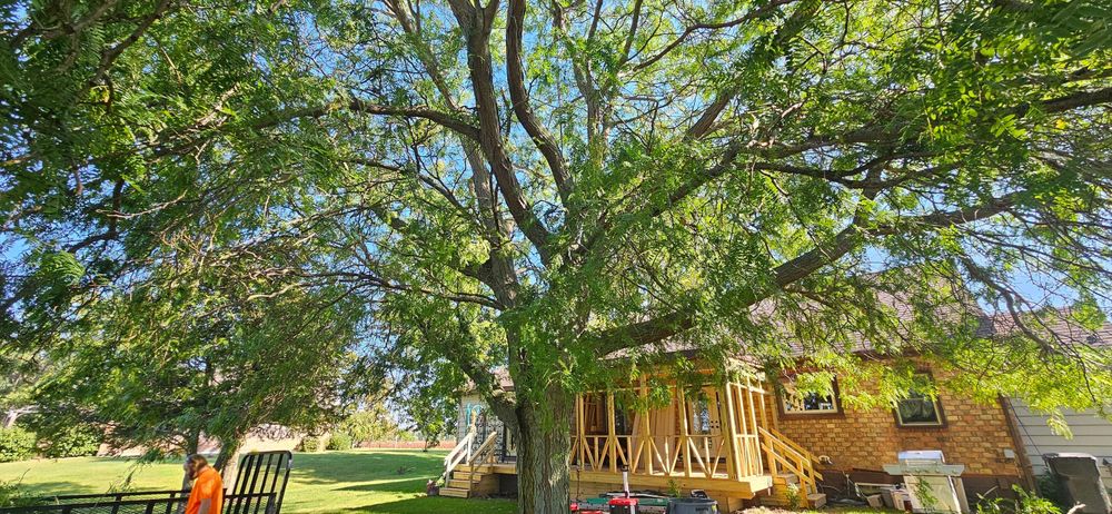 All Photos for Highborn Tree Service in Wheatfield, IN