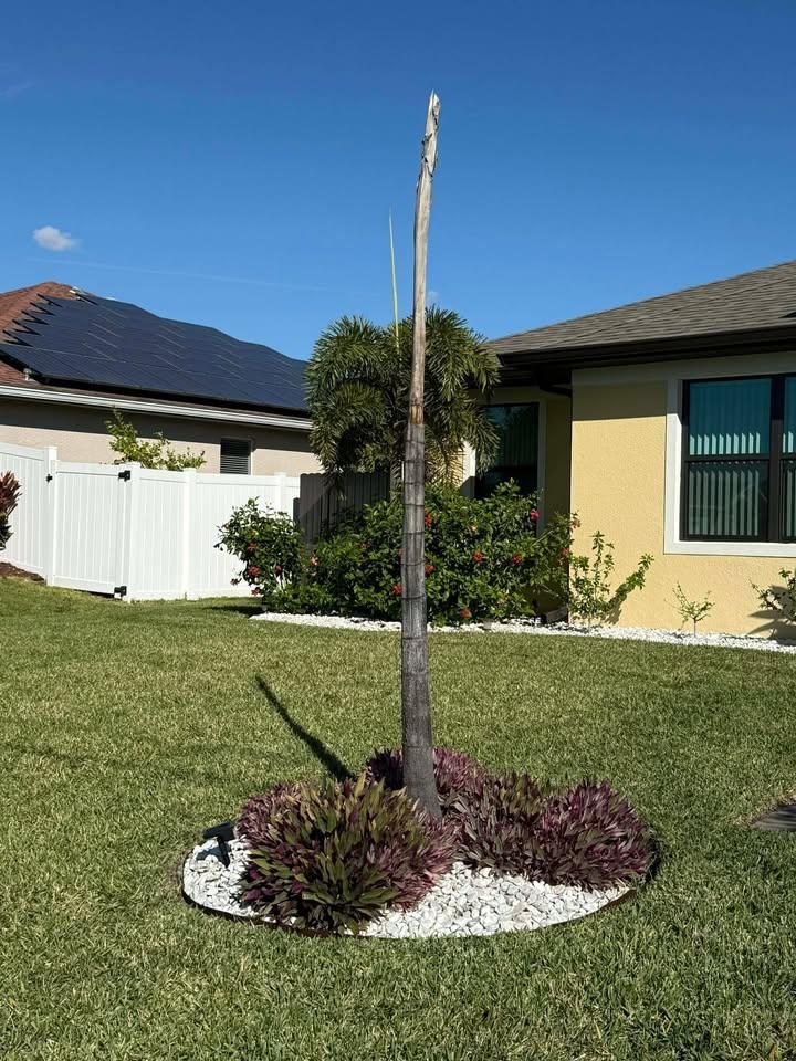 All Photos for Lawn Caring Guys in Cape Coral, FL