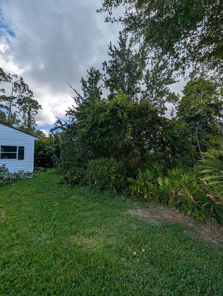 All Photos for Regal Tree Service and Stump Grinding in Wauchula, FL