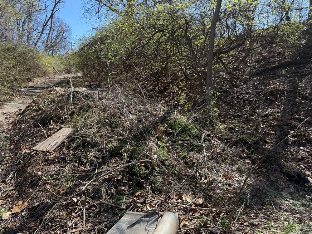 All Photos for A1 Bush Hogging & Lawn Service in London, OH