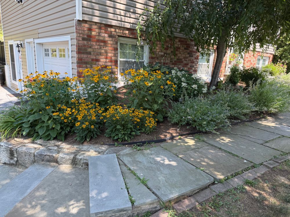 Before & After for Ardisi Landscaping & Design in Poughkeepsie, NY 