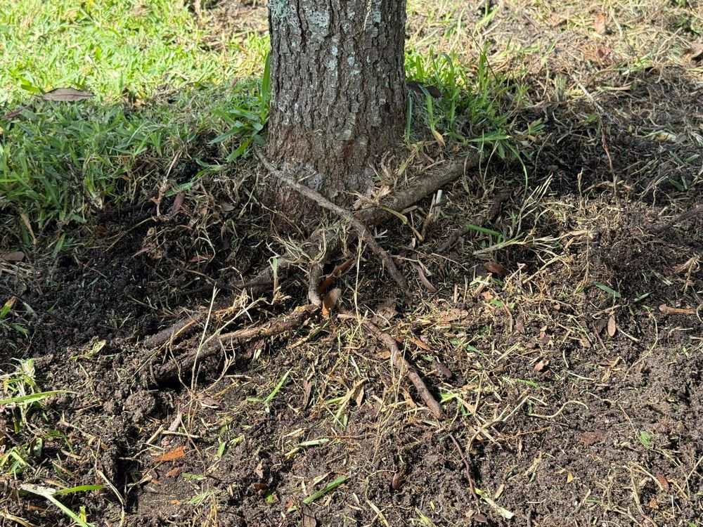 All Photos for MX Trees in Englewood, FL