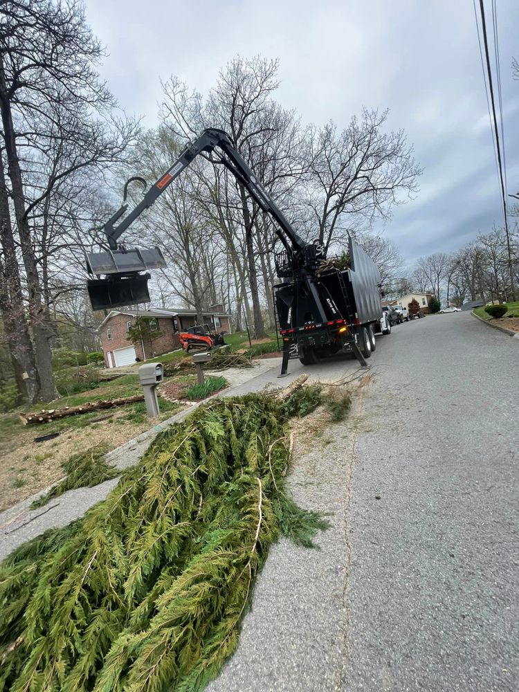 All Photos for Lucky’s Tree Removal and Landscape Services in Knoxville, TN