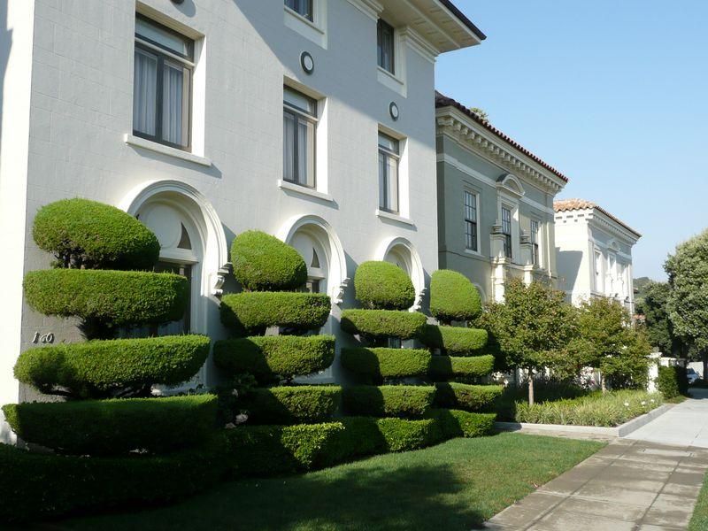 All Photos for Terra Heights Tree Experts & Landscaping  in Grass Valley,  CA