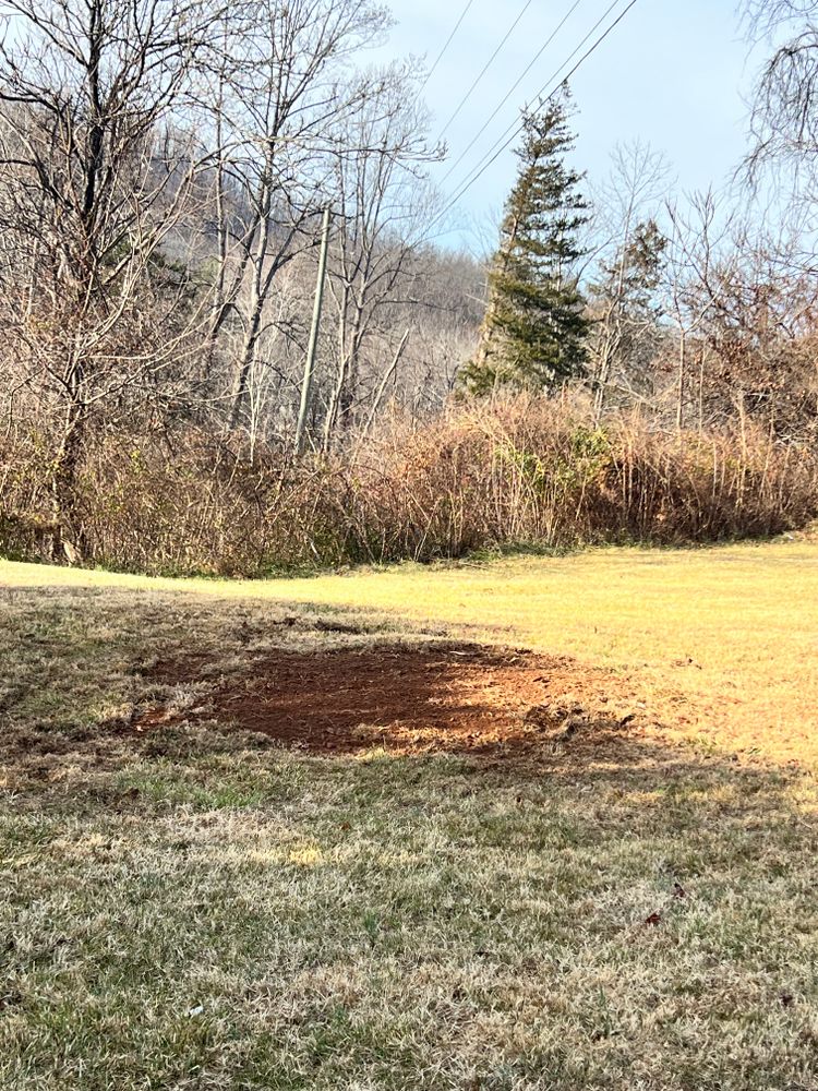 All Photos for Valencia’s Lawncare in Charlottesville, VA