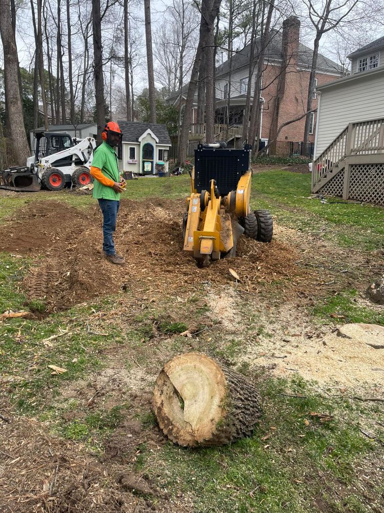 J&J Tree Services team in Raleigh, NC - people or person