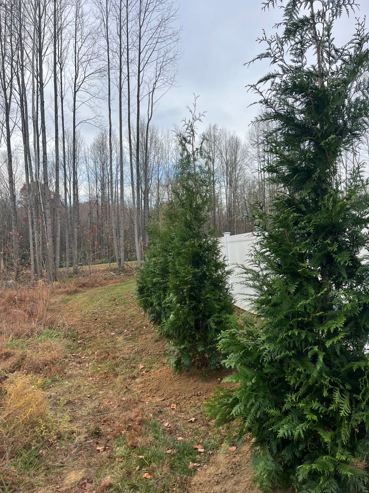 All Photos for Atlas Home Services in Mechanicsville, VA