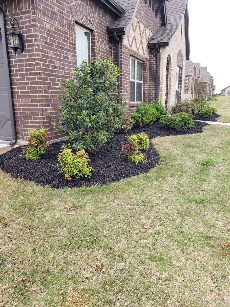 All Photos for Paquito's Landscaping in Ellis County, TX