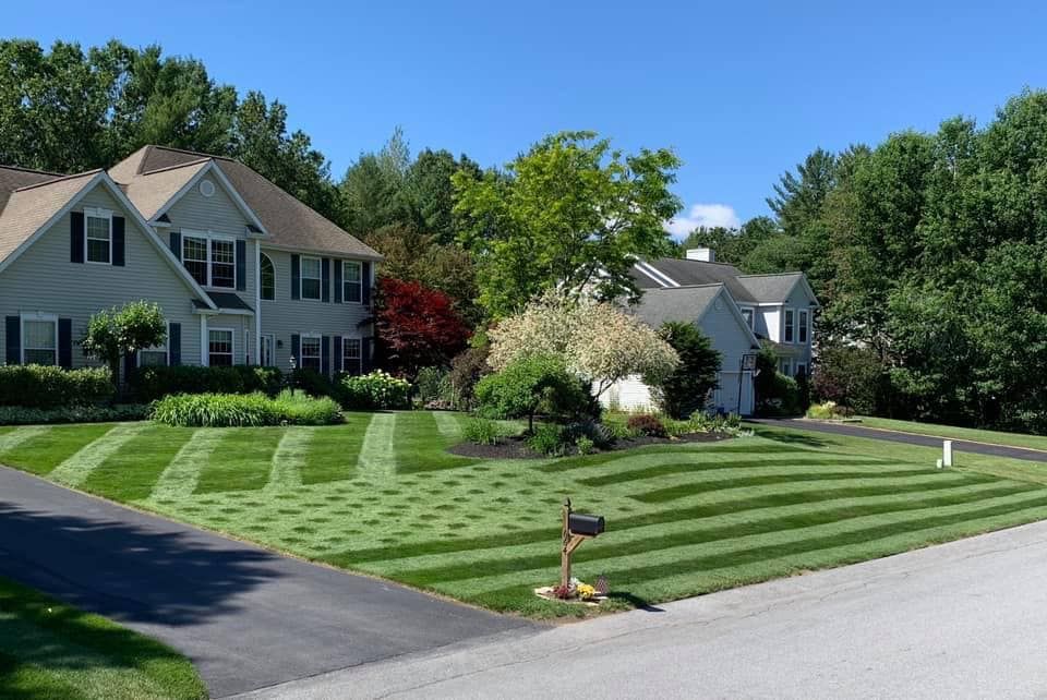 Our Land Clearing service offers efficient removal of trees, brush, and debris to prepare your property for construction or landscaping projects, ensuring a clean and safe foundation for any development. for Cameron's General Services in Mansfield, GA