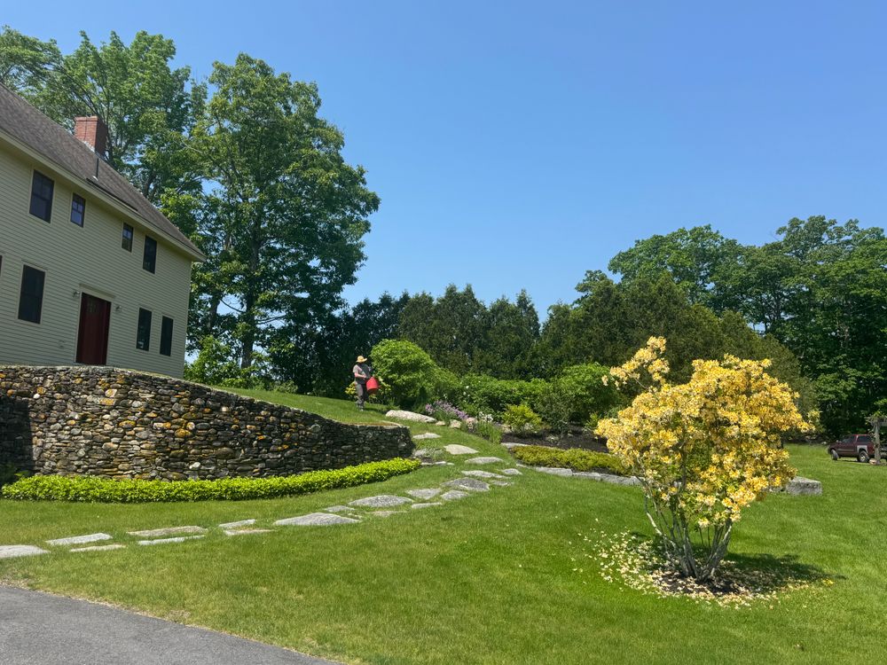 All Photos for Natural Roots in Georgetown, ME