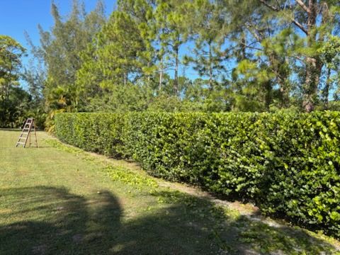 All Photos for Madissons Green in West Palm Beach ,   FL