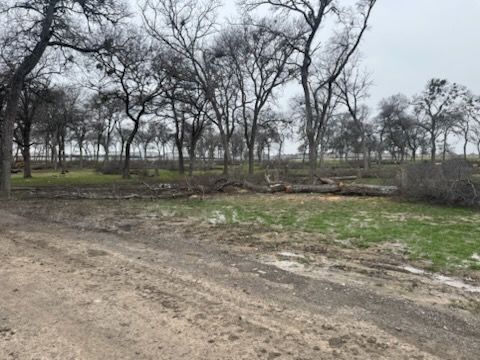 Our professional land clearing service efficiently removes unwanted trees, shrubs, and debris to prepare your property for new projects or enhance aesthetic appeal, ensuring a safe and clean environment. for A Realtree Service in Garland, TX