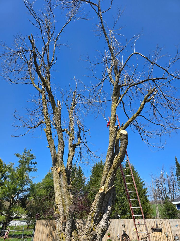 All Photos for JLB Painting And Handyman in Charlevoix, MI