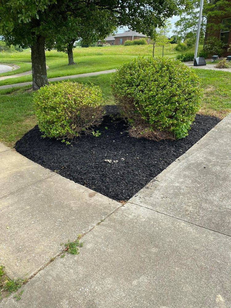 Lawn and Landscape for JKL Lawn Service in Frankfort, KY