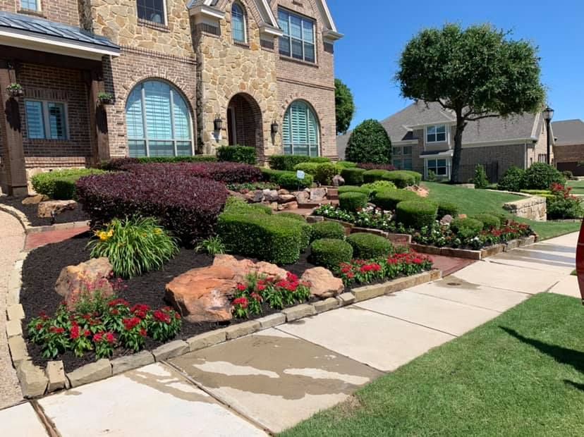 Seasonal color changes for Guerrero's Landscape in Fort Worth,  TX