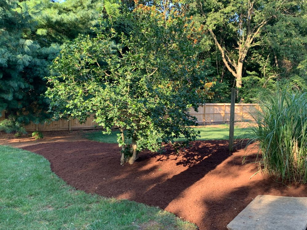 Other Services for Optimum Tree Service And Landscaping in Bowling Green, KY