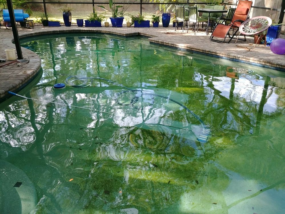 Ensure your pool stays pristine with our expert Pool Cleanups service, featuring thorough debris removal, chemical balancing, and equipment checks to maintain crystal-clear water and extend the life of your investment. for Blue Bay Pools in Tampa, FL