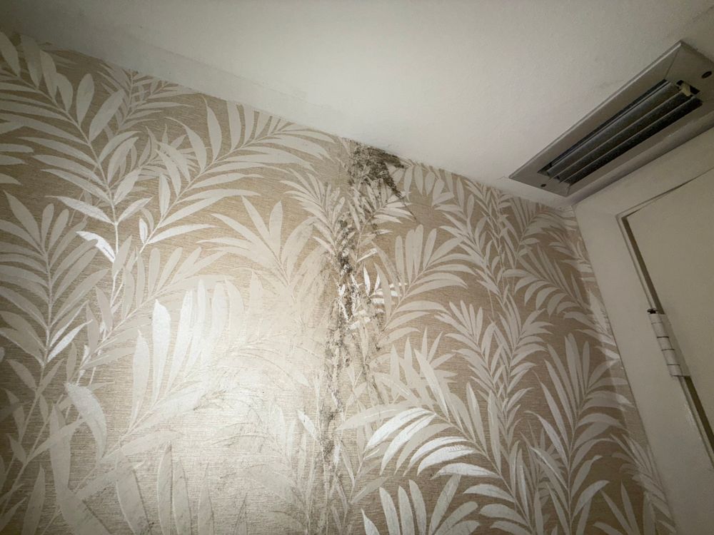All Photos for N&D Restoration Services When Disaster Attacks, We Come In in Cape Coral,  FL