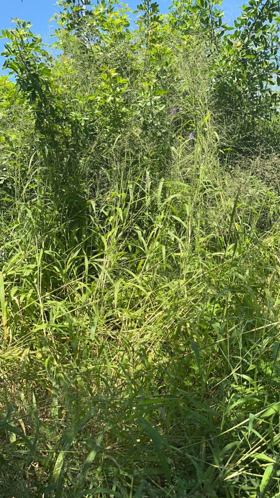 All Photos for Space Coast Property Maintenance and Management LLC in Melbourne, FL