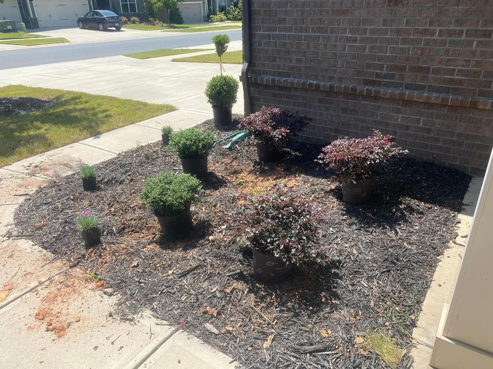 Mulching for America's Top Pick Lawn & Landscaping in Gastonia, NC