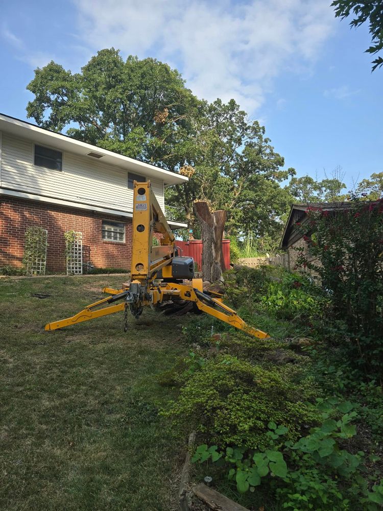 Our stump removal service ensures safe, efficient eradication of tree stumps, enhancing your lawn's appearance and health while preventing pest infestations and potential damage to mowing equipment. Trust us for seamless results. for Oklahoma Tree Guy in Bartlesville, OK