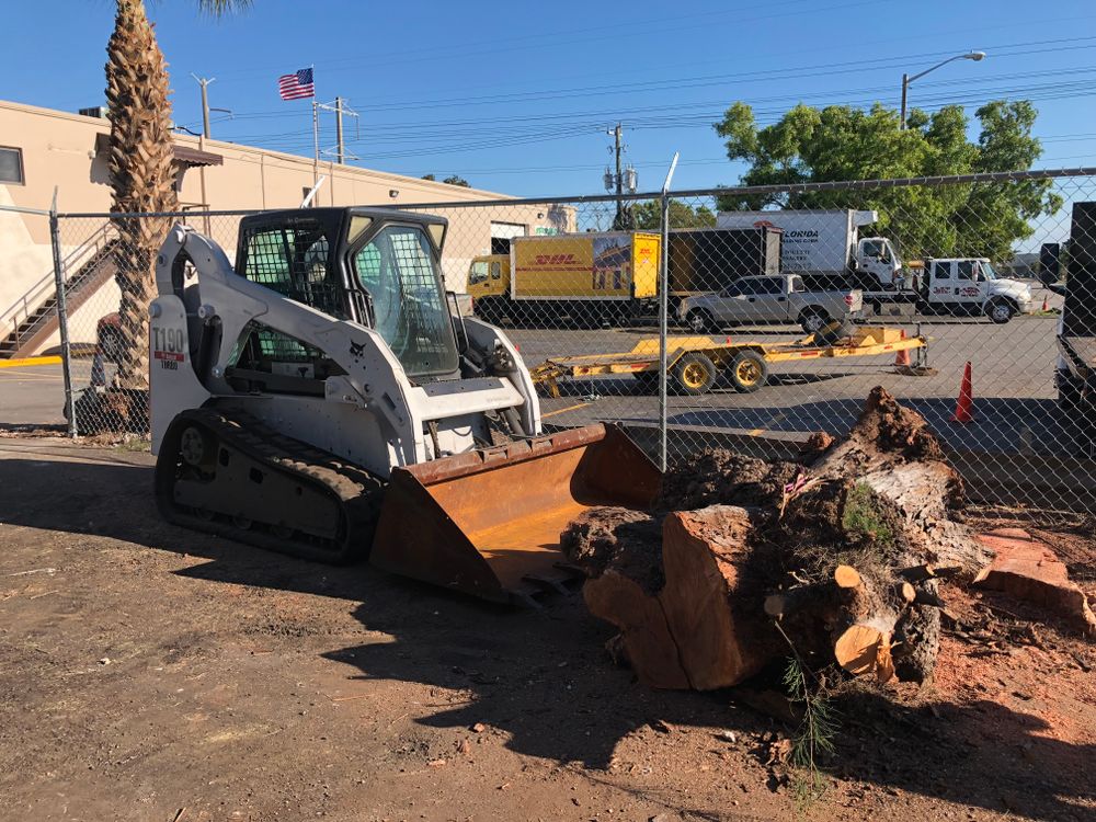 Disaster for Sam's Tree Service in Miami Beach,  FL