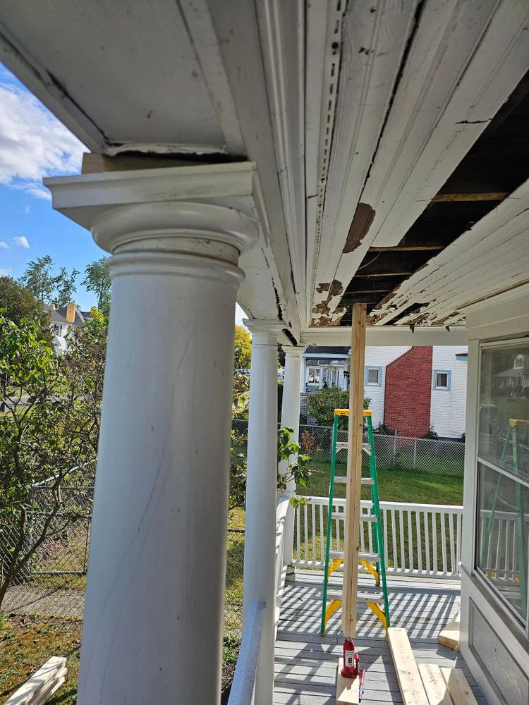 All Photos for The Painter in Citrus Heights, CA