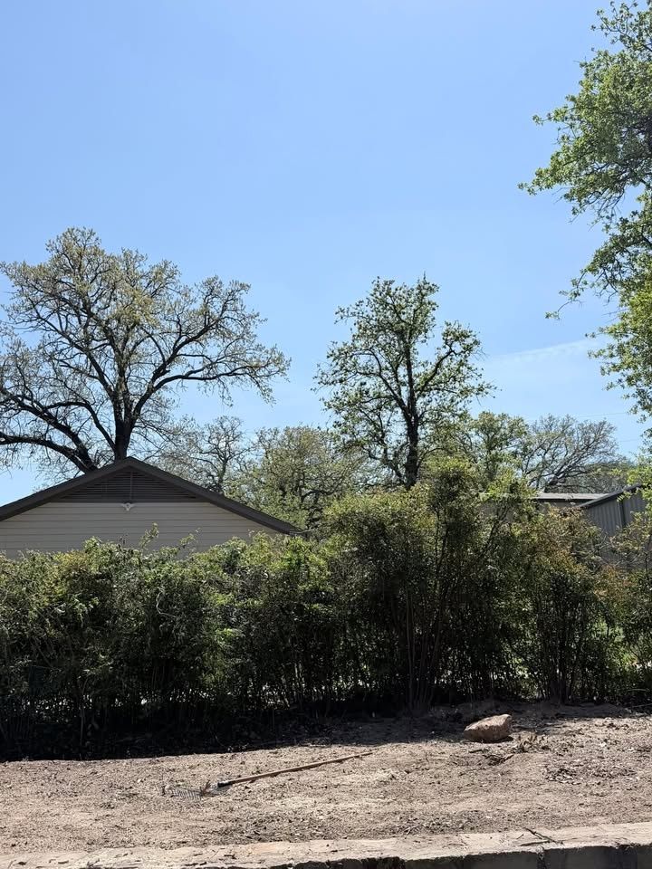 All Photos for Year Round Trees & Concrete Inc. in Fort Worth, TX