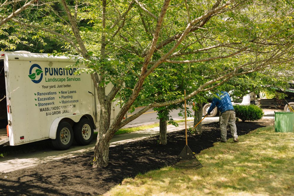 All Photos for Pungitore Landscapes, Irrigation & Fertilizer in Hingham, MA