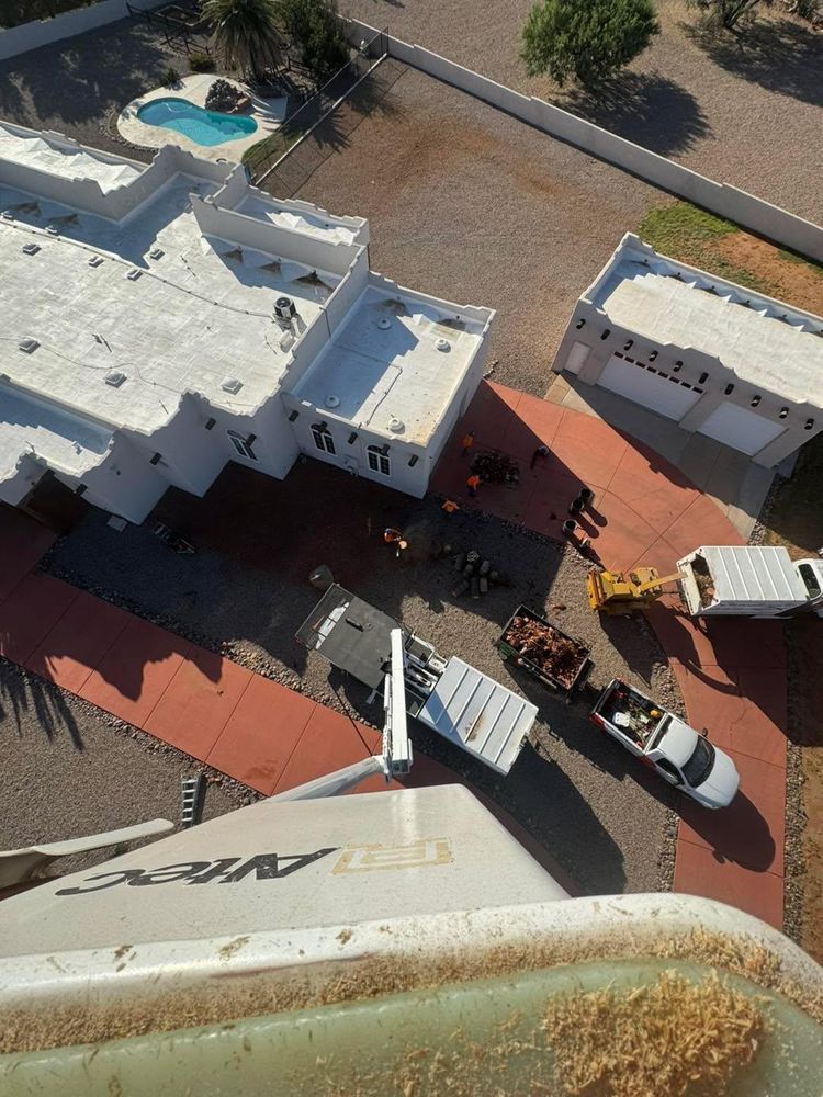 Stump Removal for By Faith Landscaping in Sierra Vista, AZ