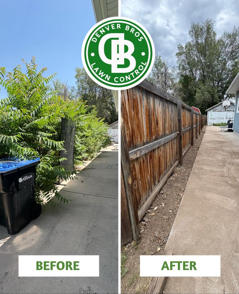 All Photos for Denver Bros Lawn Control in Denver, CO