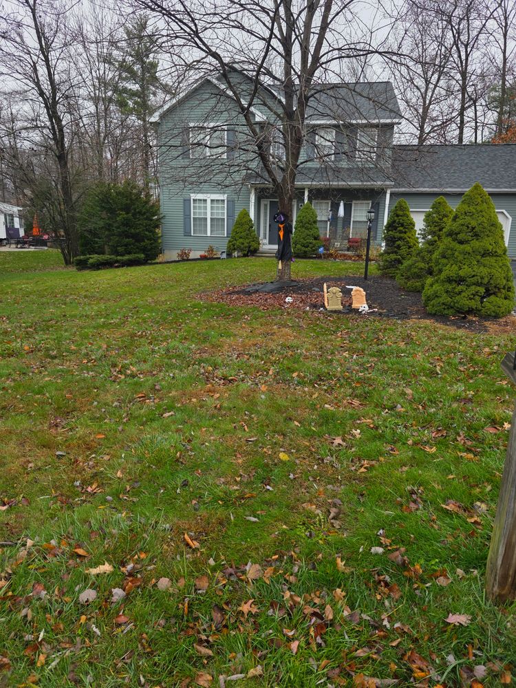All Photos for Sweet Scapes in Ballston Spa, NY