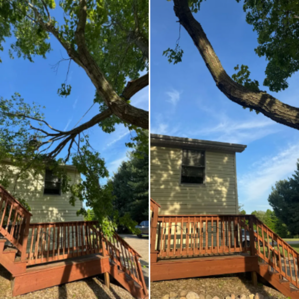 Storm Cleanup: Before and After for Branching Out Tree Service in Hastings, MI