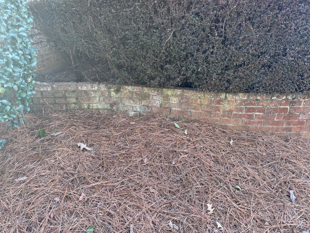 All Photos for Soapy Suds Services in St. Charles, IL