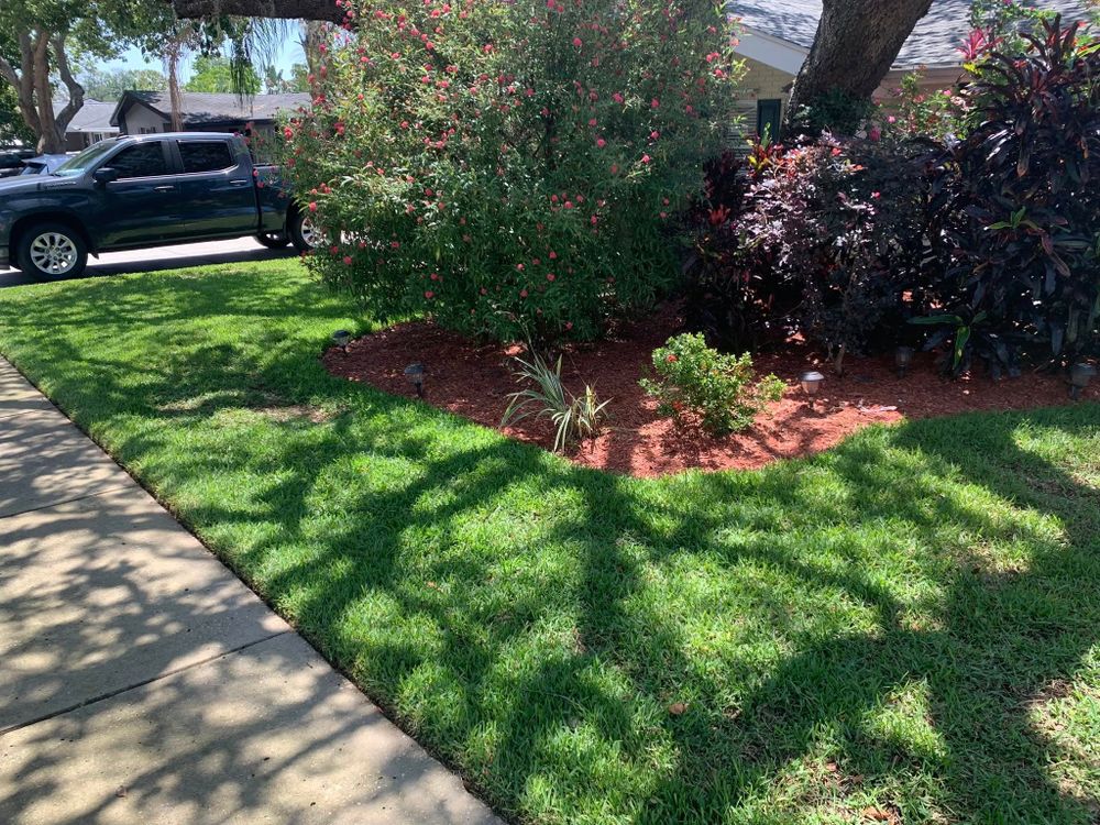 All Photos for Mitchell Lawn Service in Odessa, FL