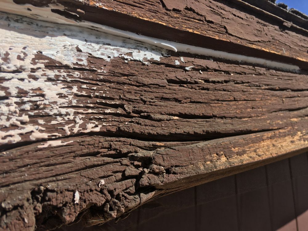 All Photos for Classic Shades Painting Water Damage & Restoration LLC in Mesa, AZ